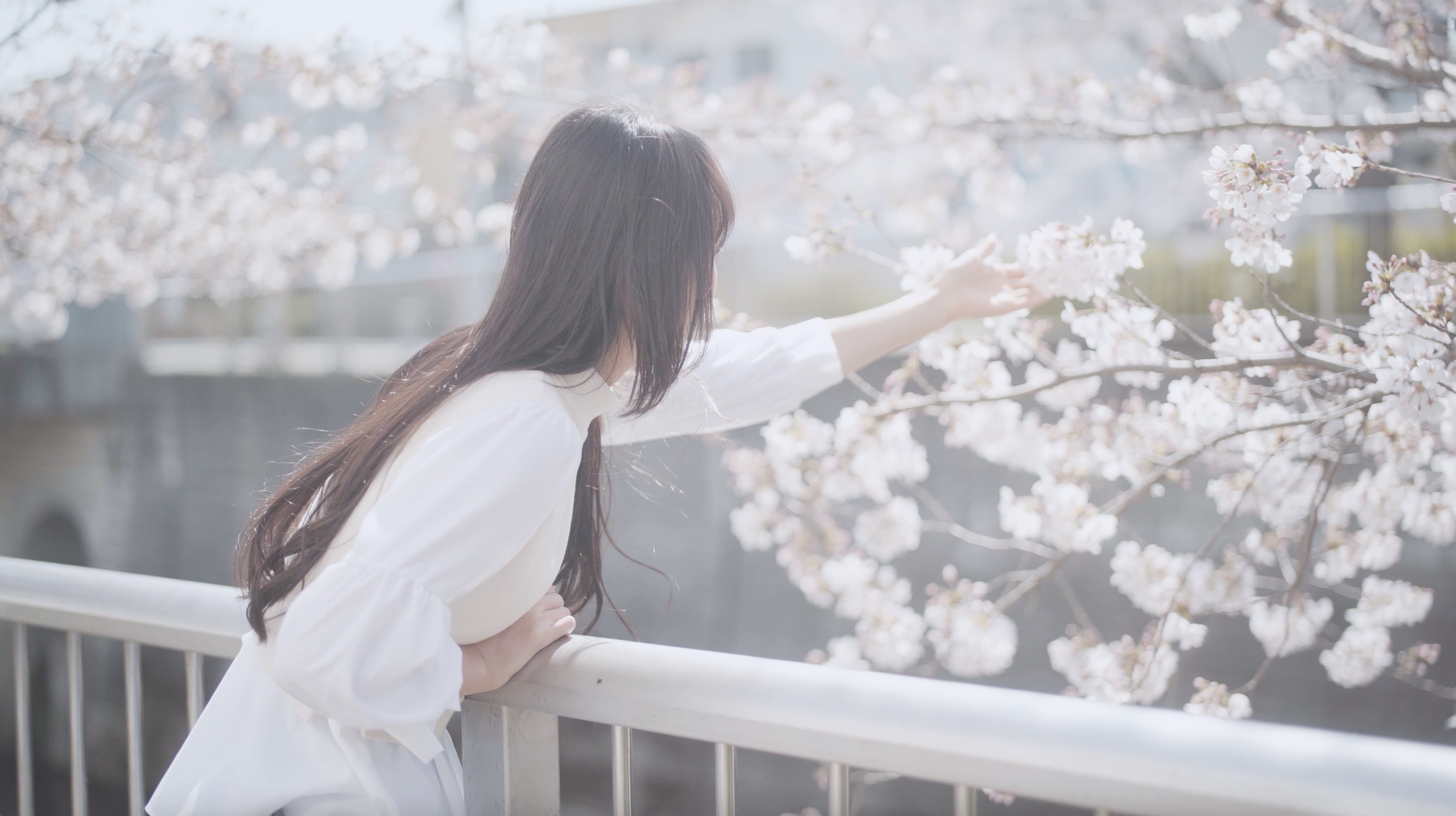 プランアイコン