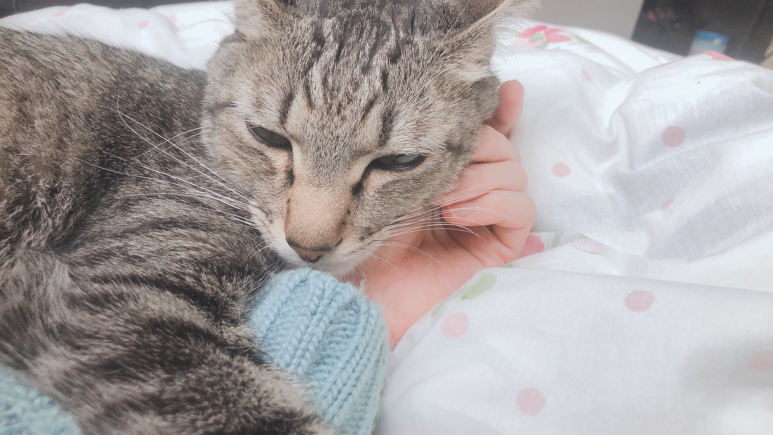 プランアイコン