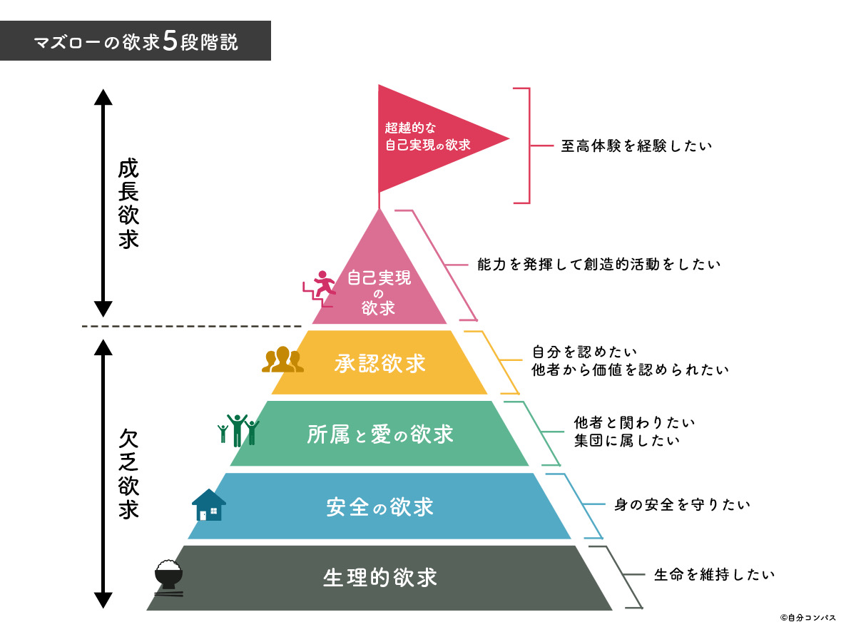 タイムライン画像