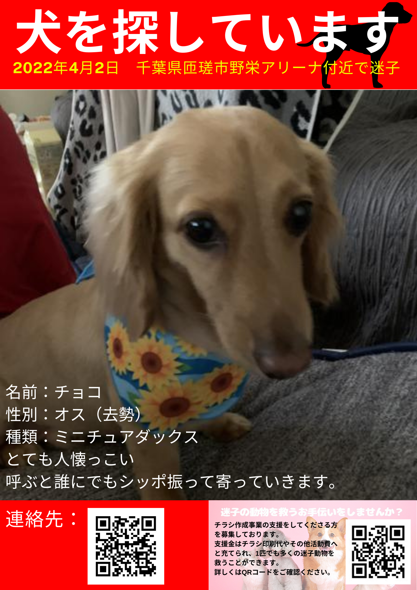 千葉県匝瑳市野栄アリーナ付近の迷子犬情報 動物迷子捜索サポーター Fanclove ファンクラブ