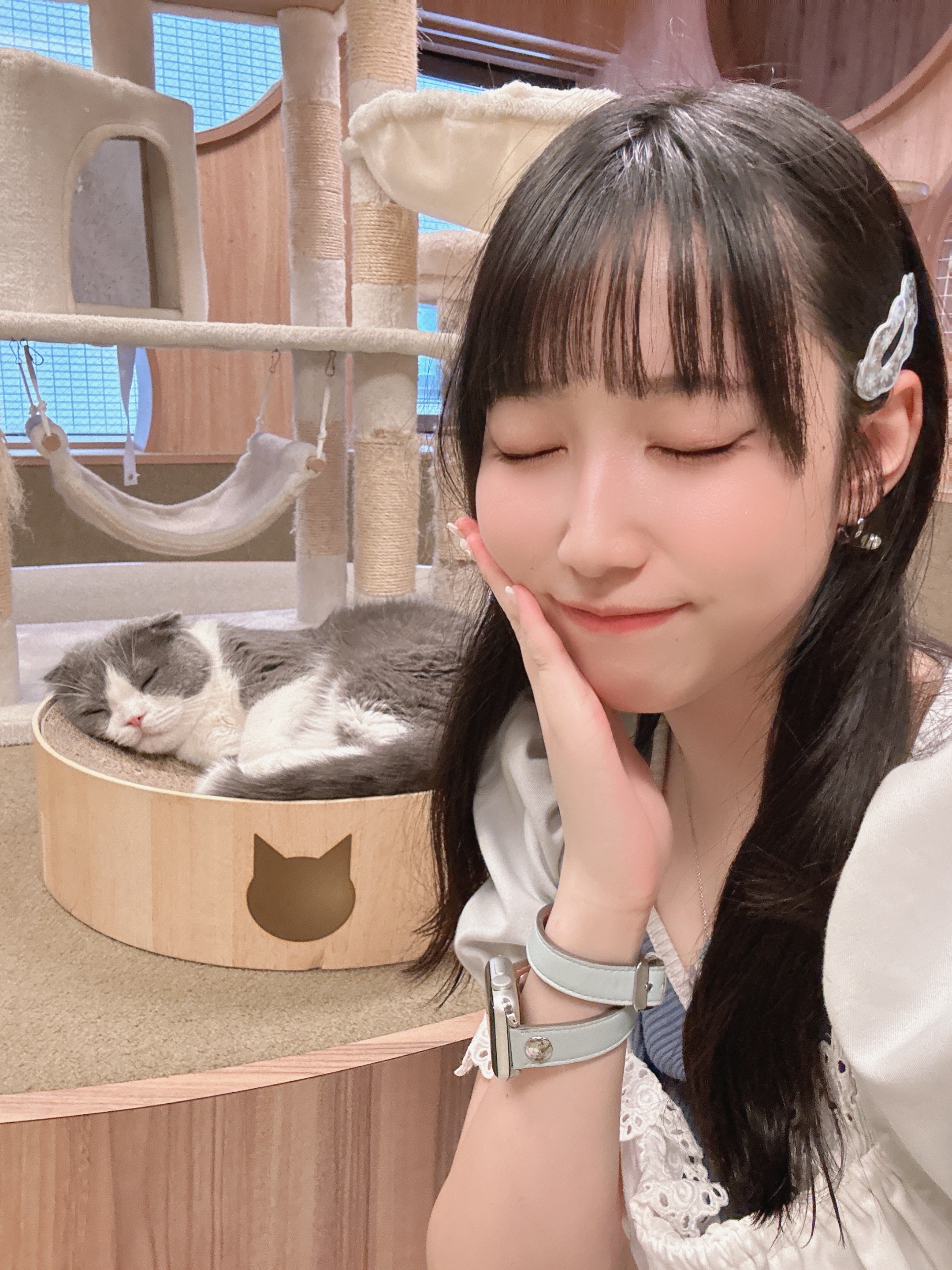プランアイコン