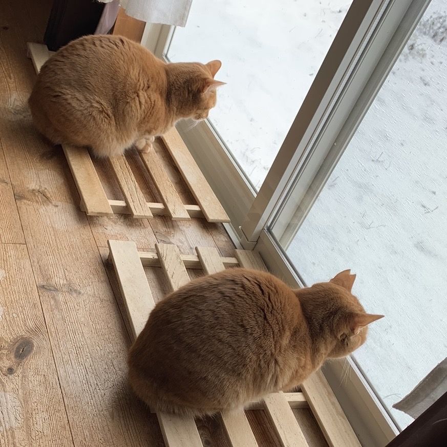 プランアイコン