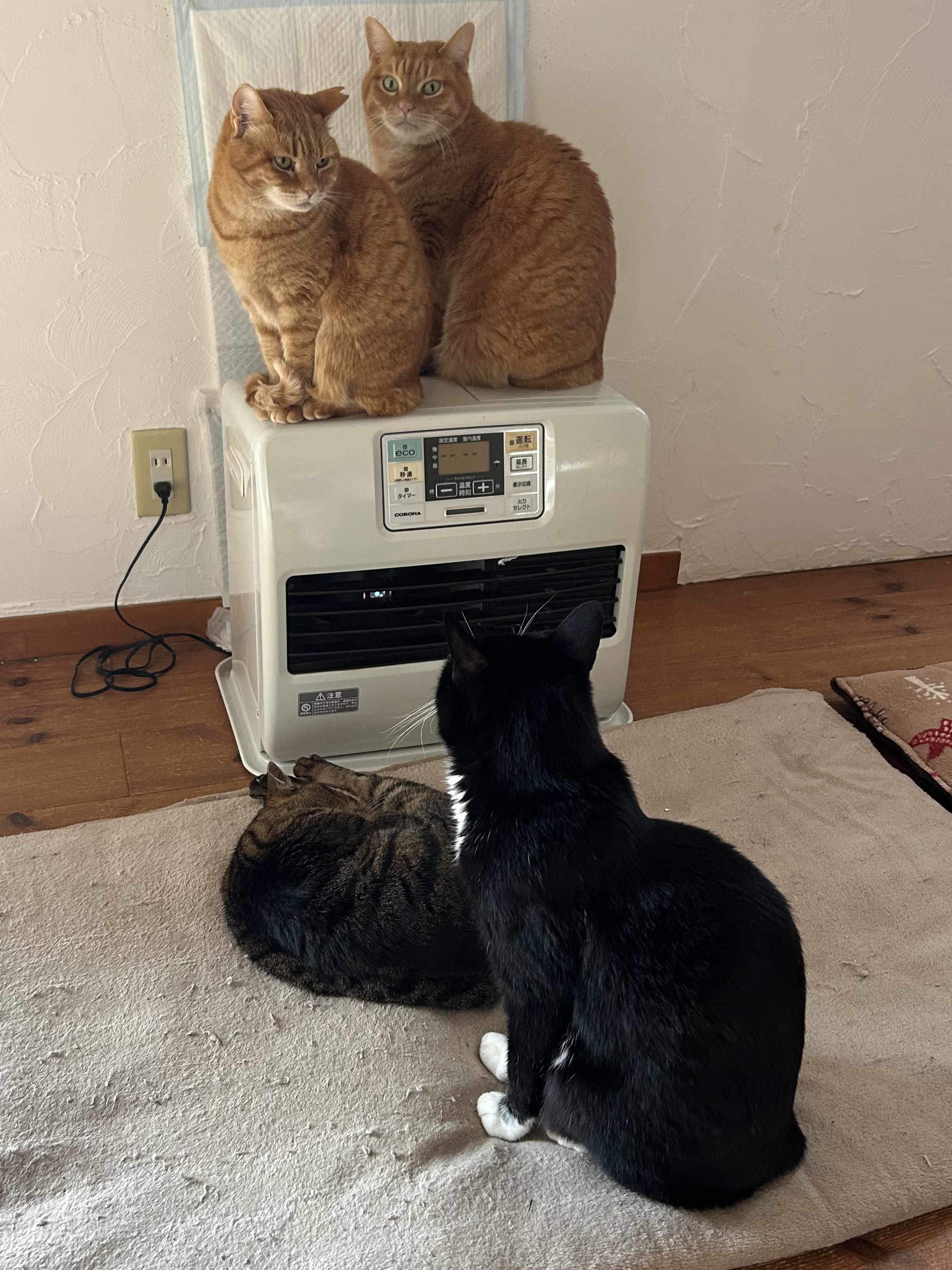 プランアイコン