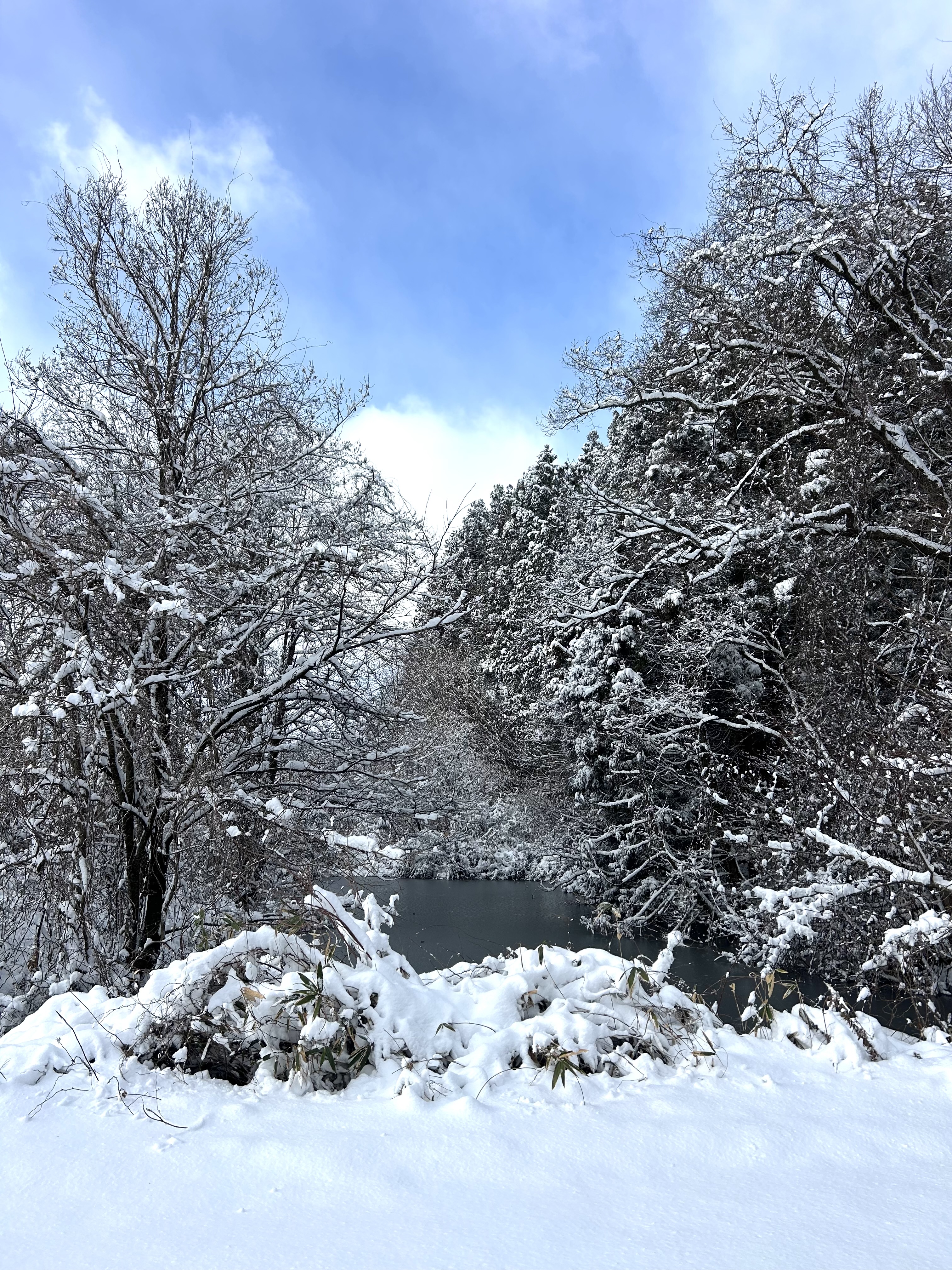 プランアイコン