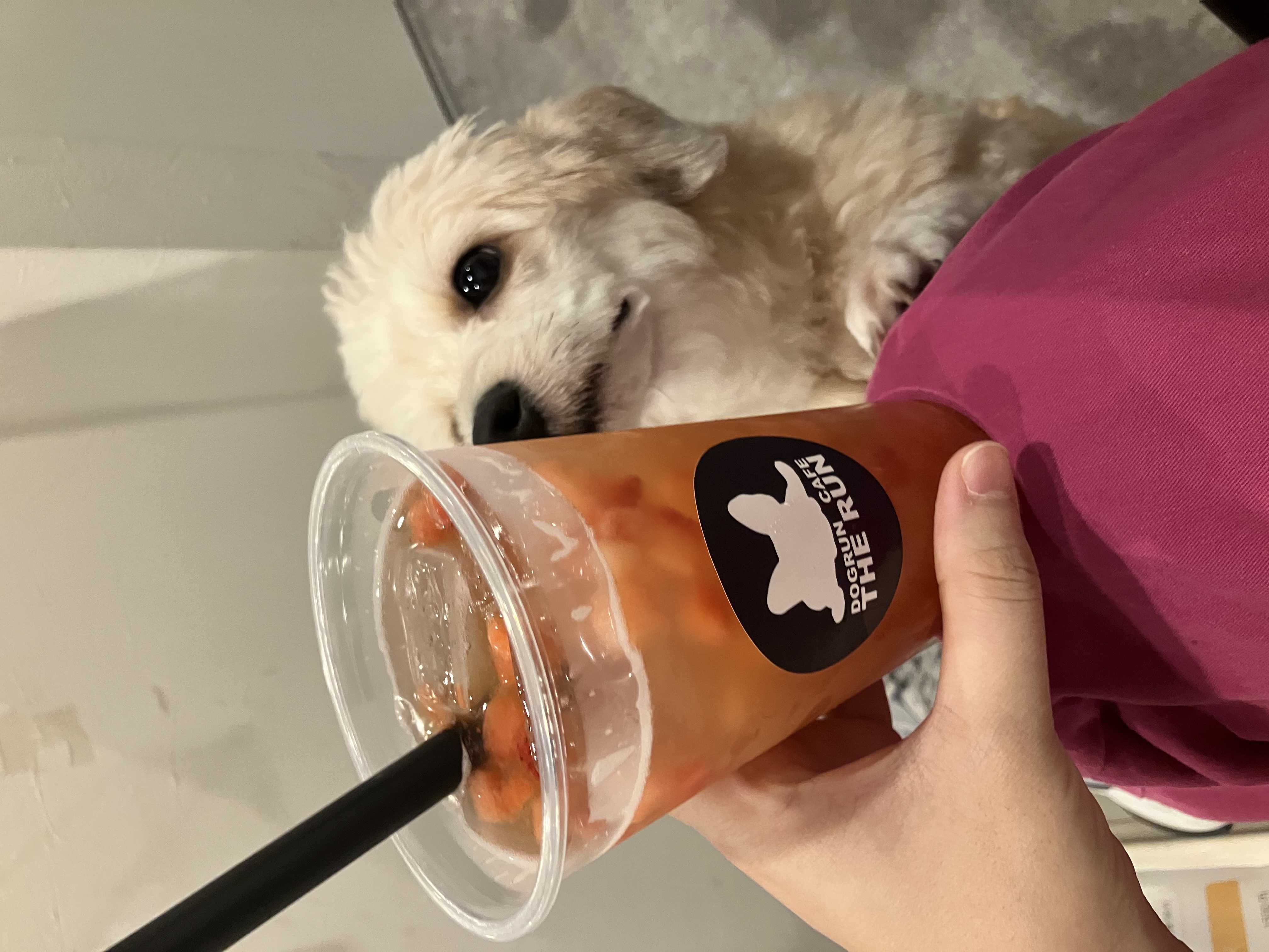 プランアイコン