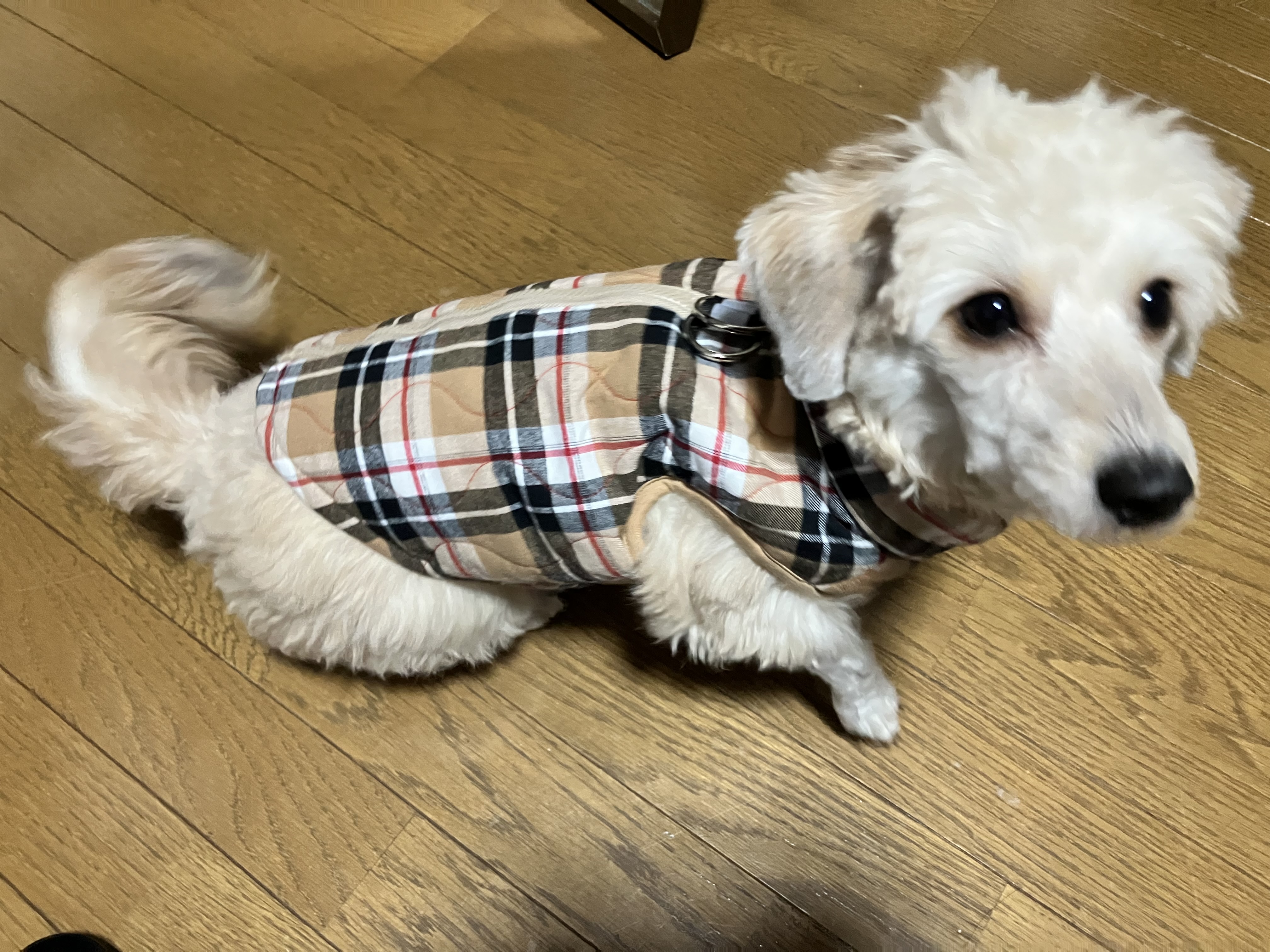 プランアイコン