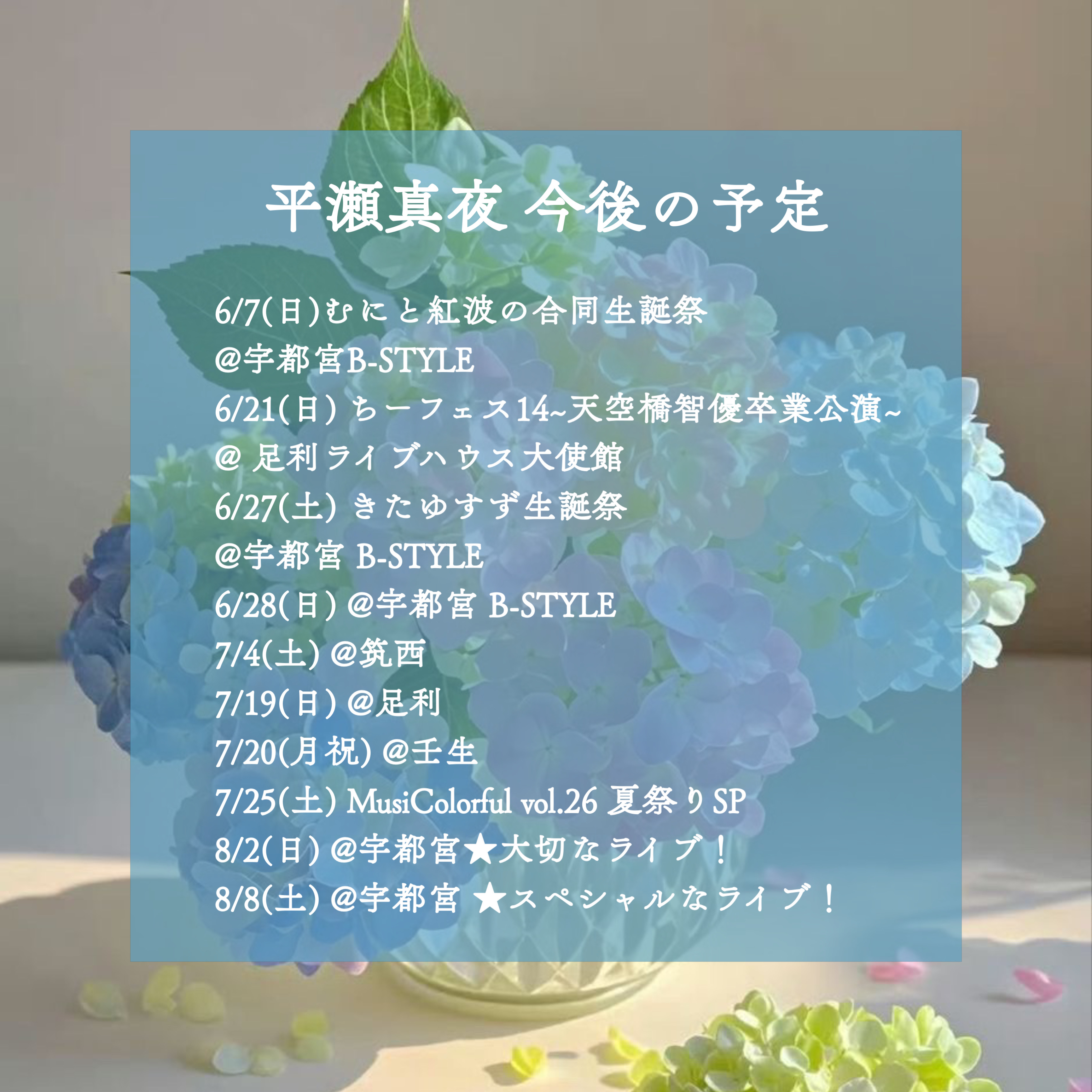 プランアイコン