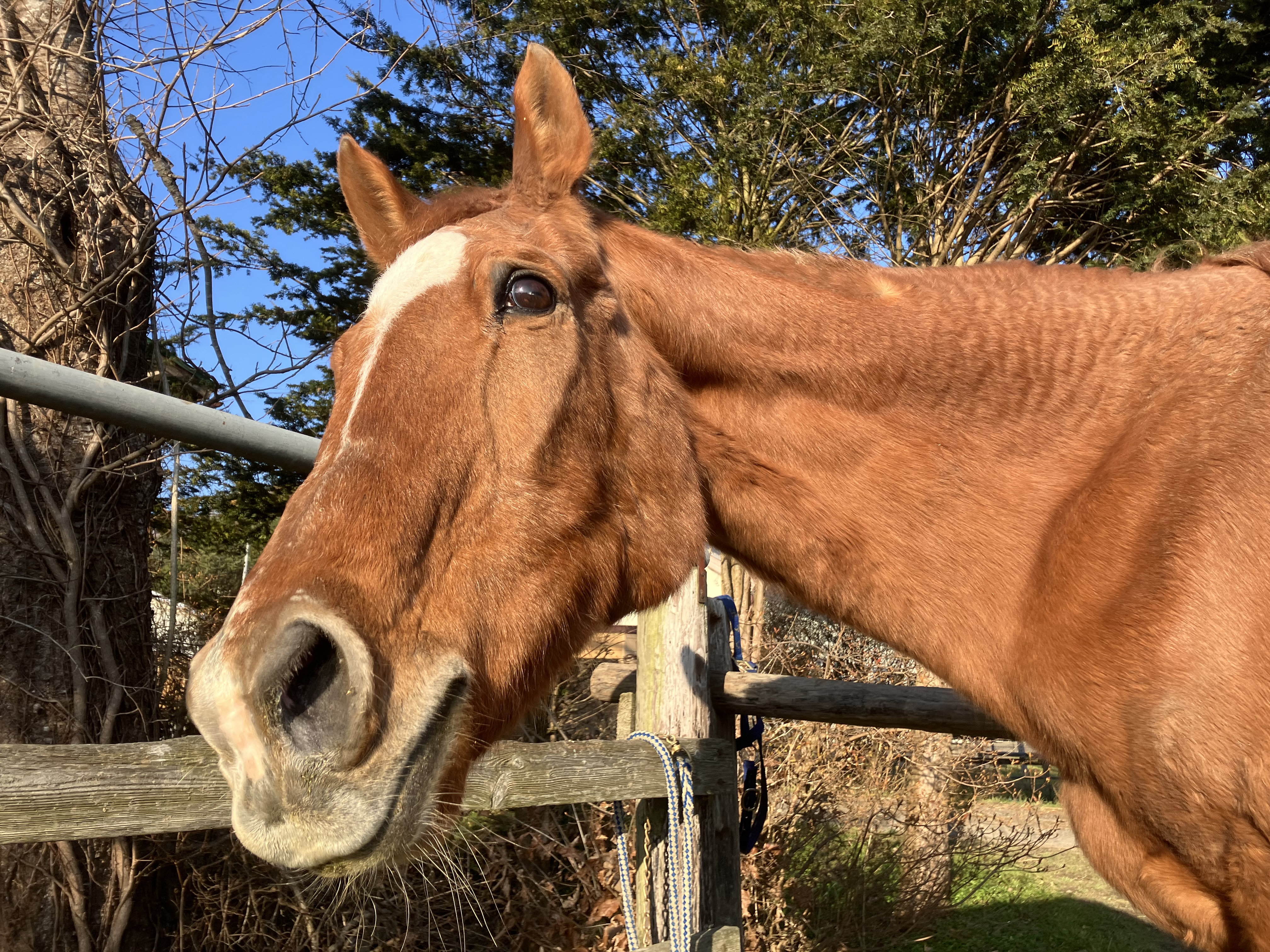 プランアイコン