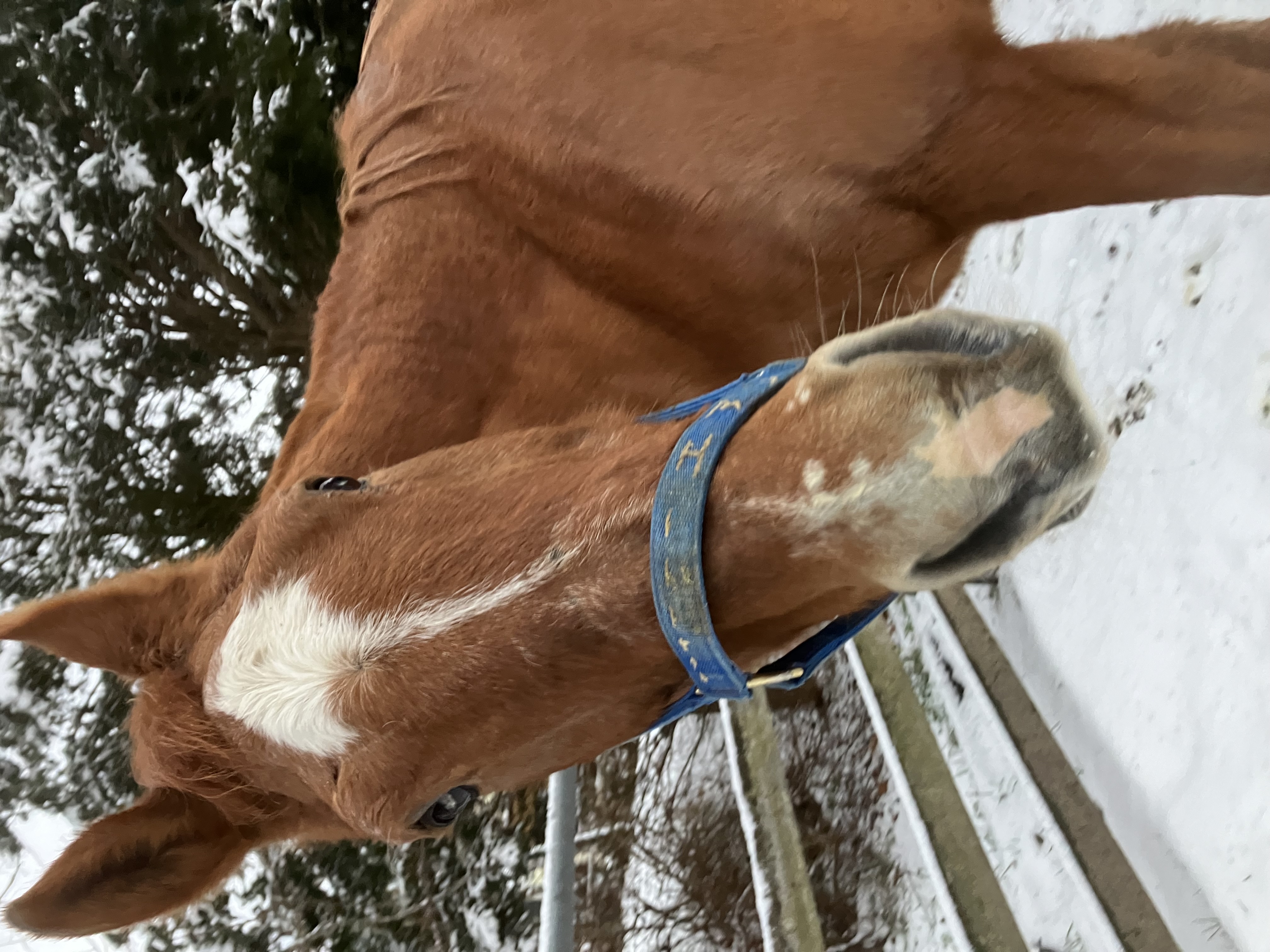 プランアイコン