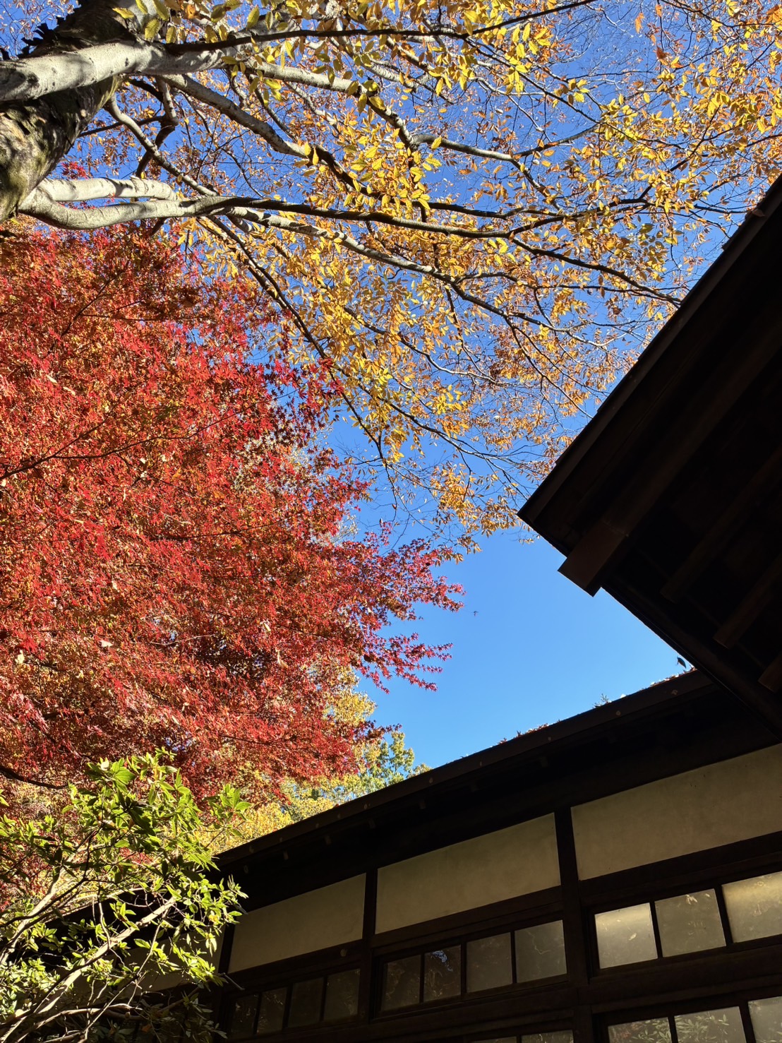 プランアイコン