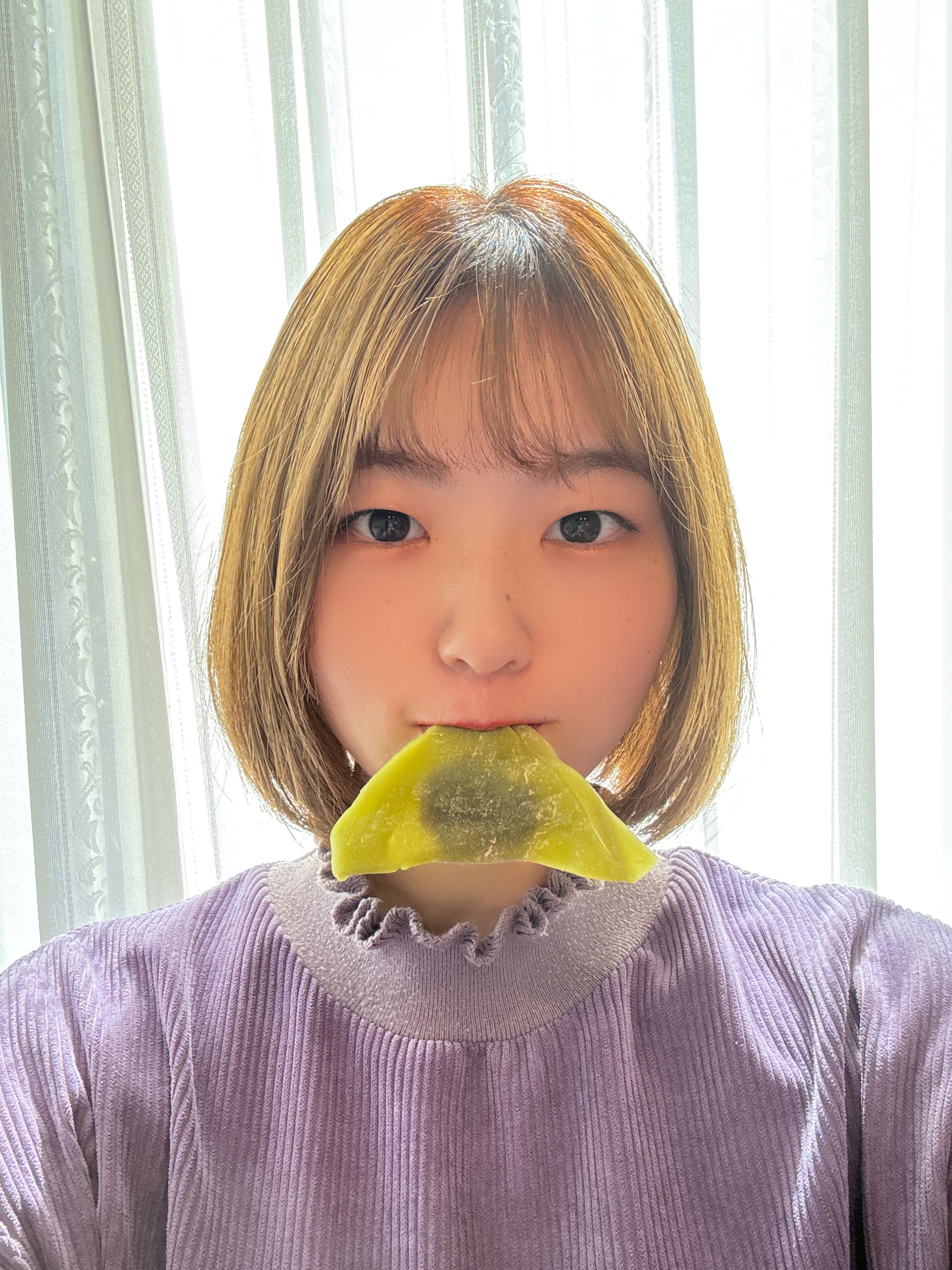 プランアイコン