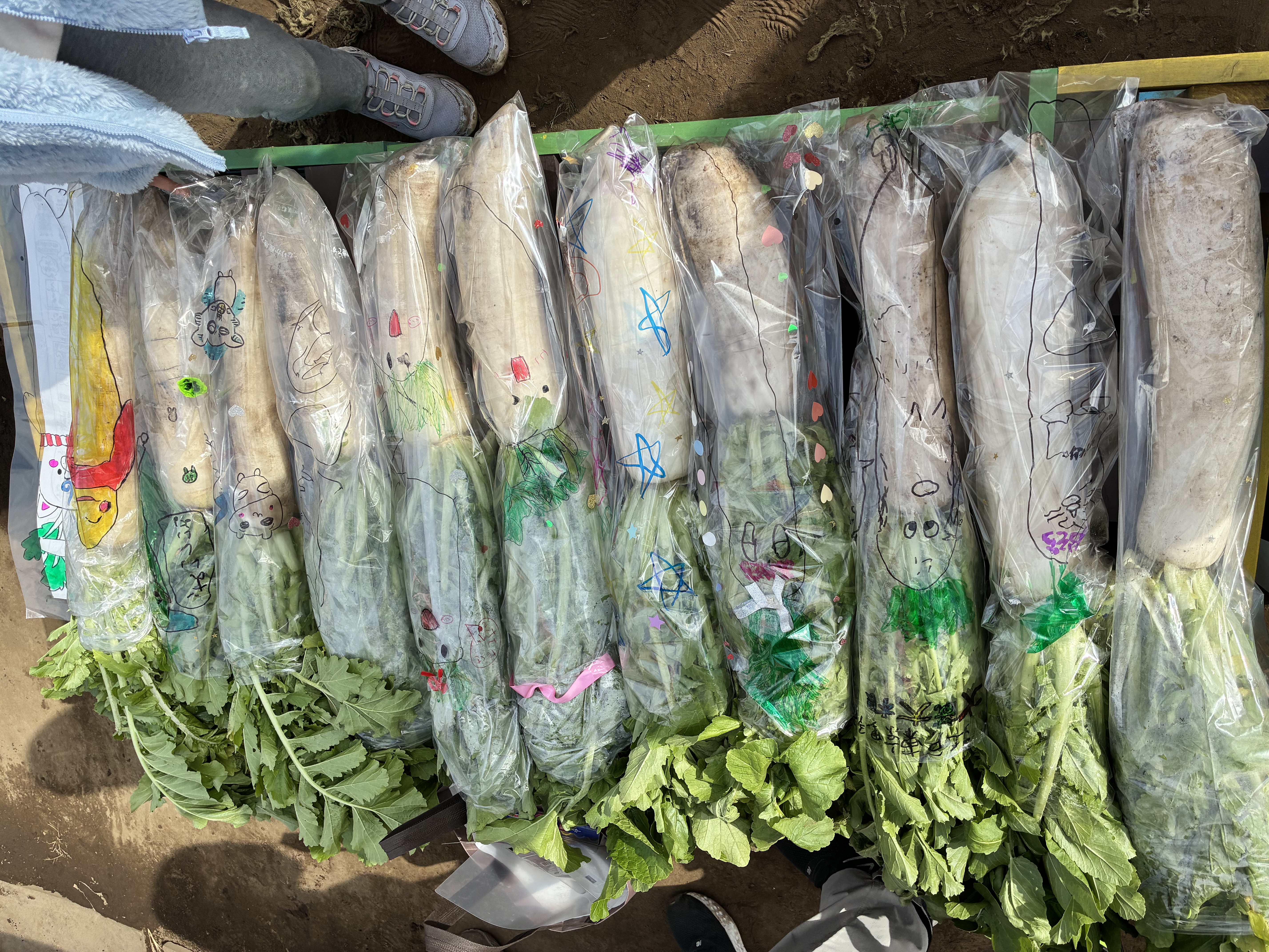 プランアイコン