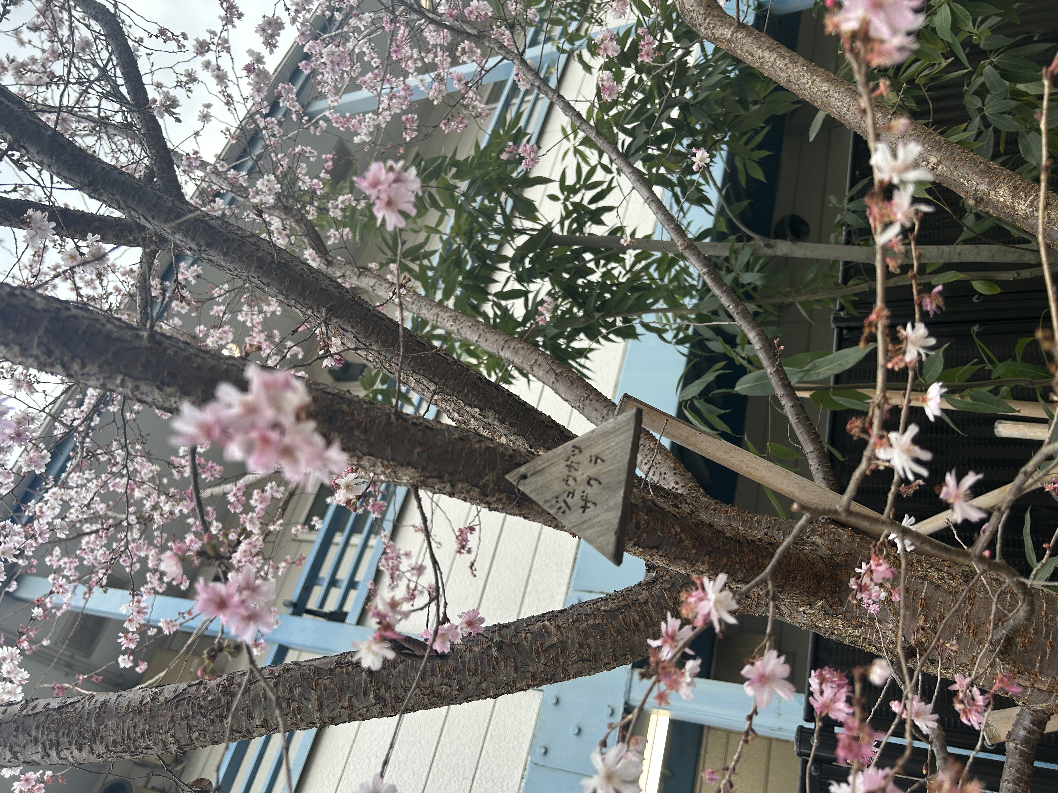 プランアイコン