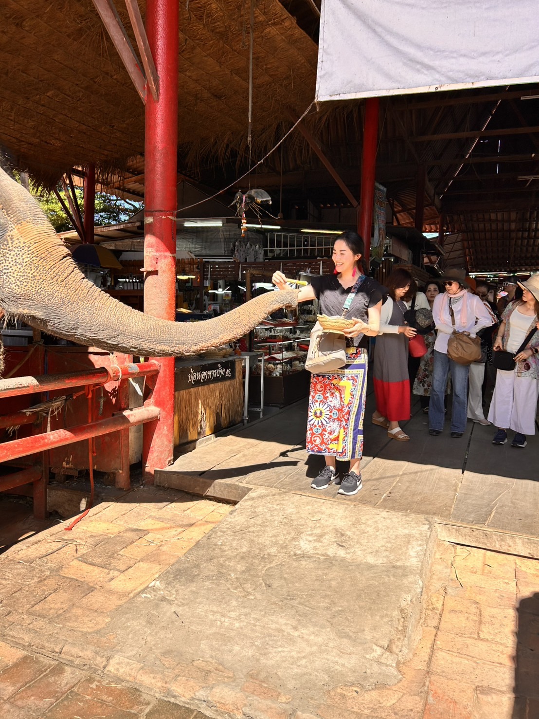 プランアイコン