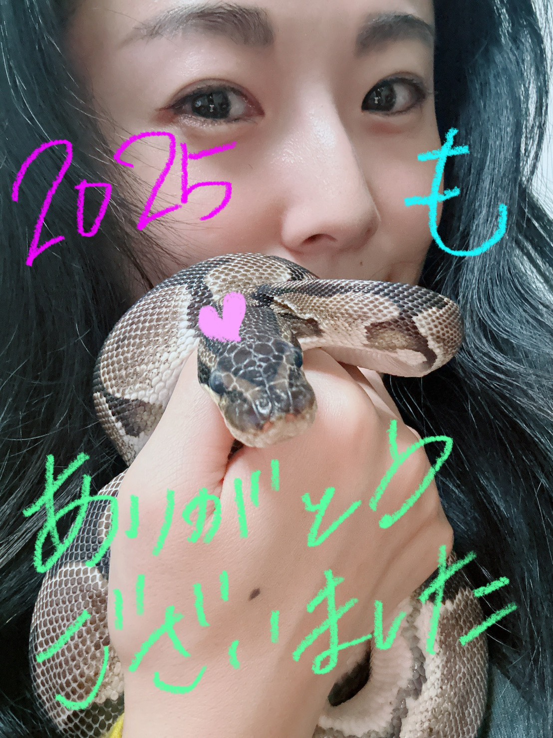 プランアイコン