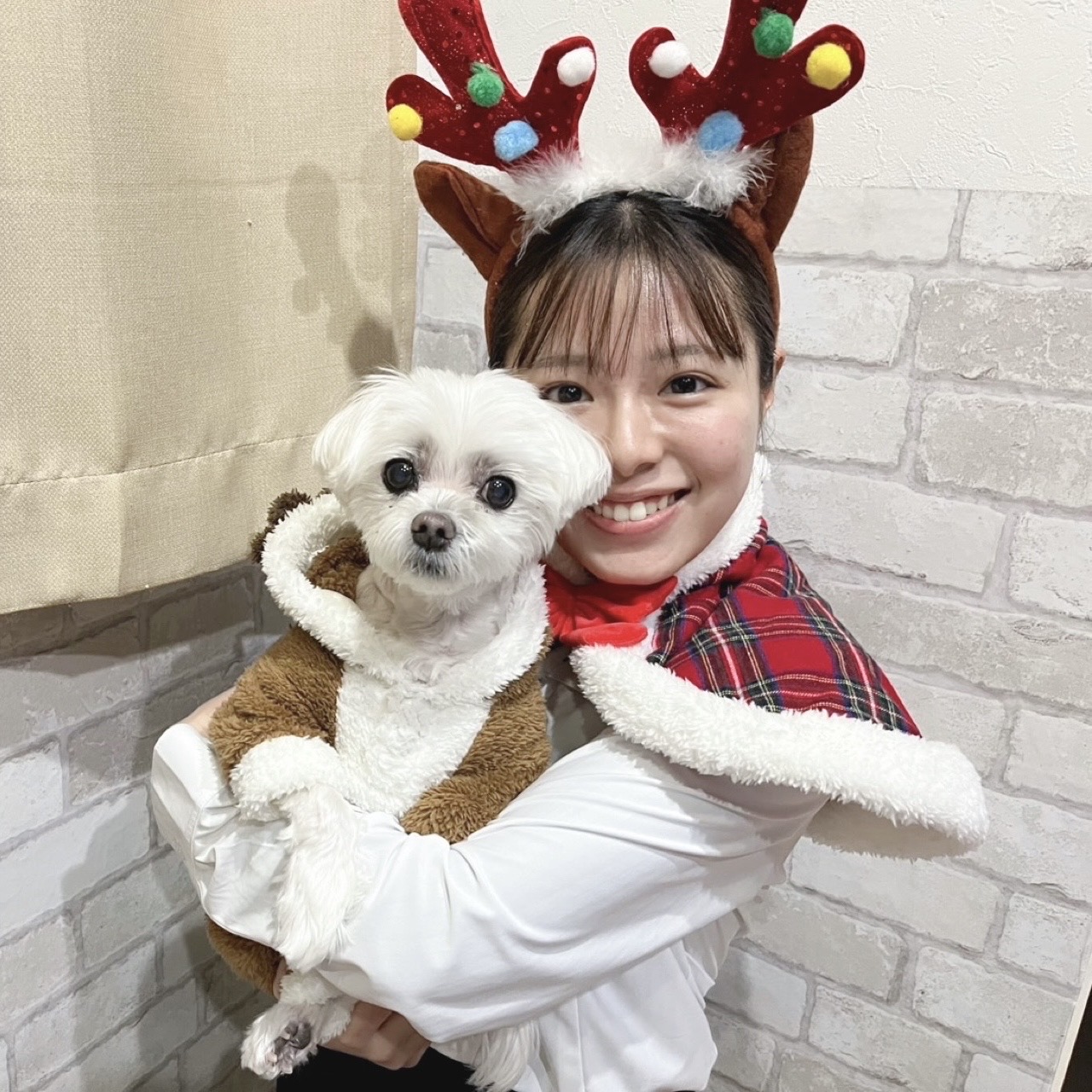 プランアイコン