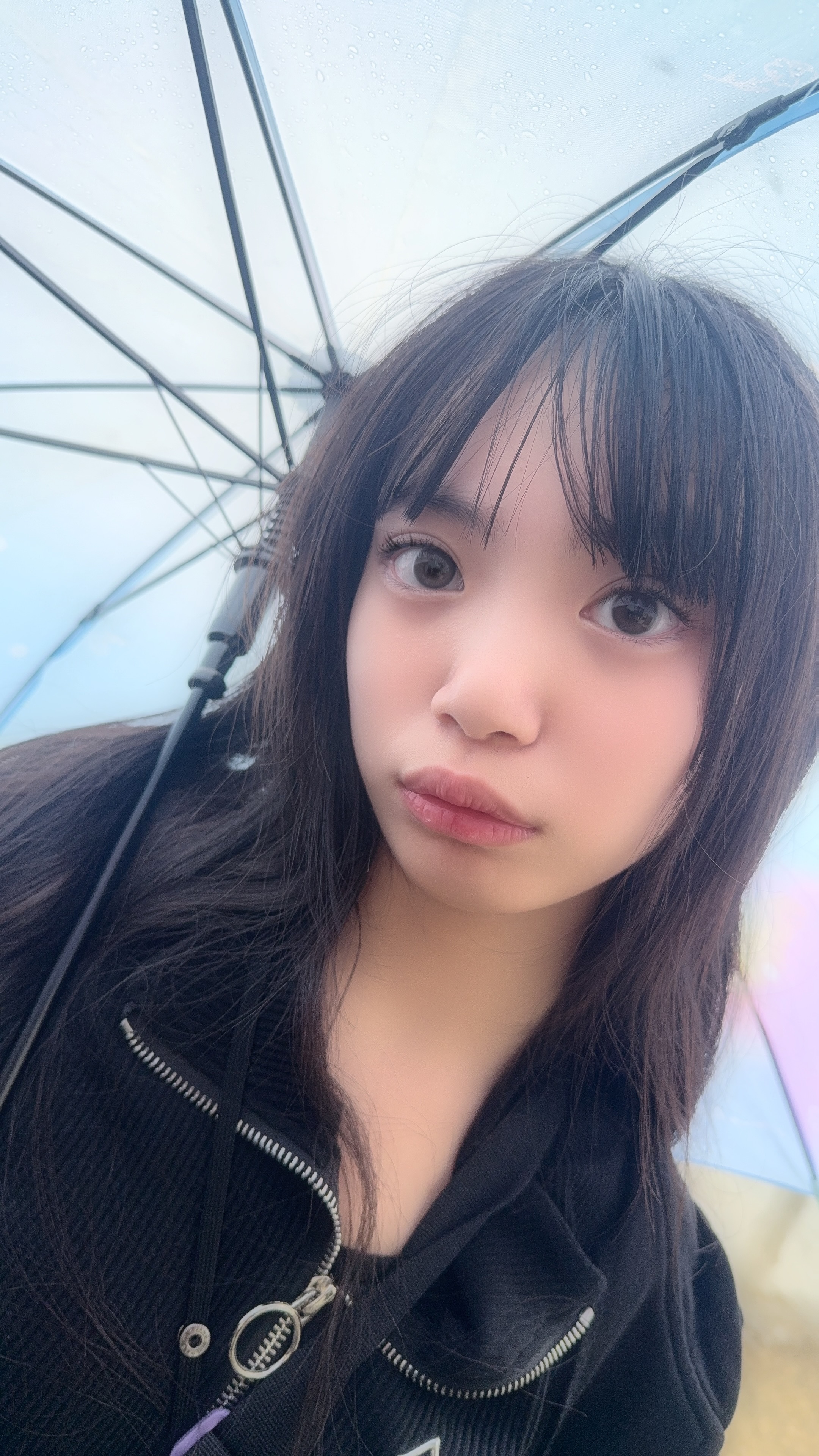 プランアイコン