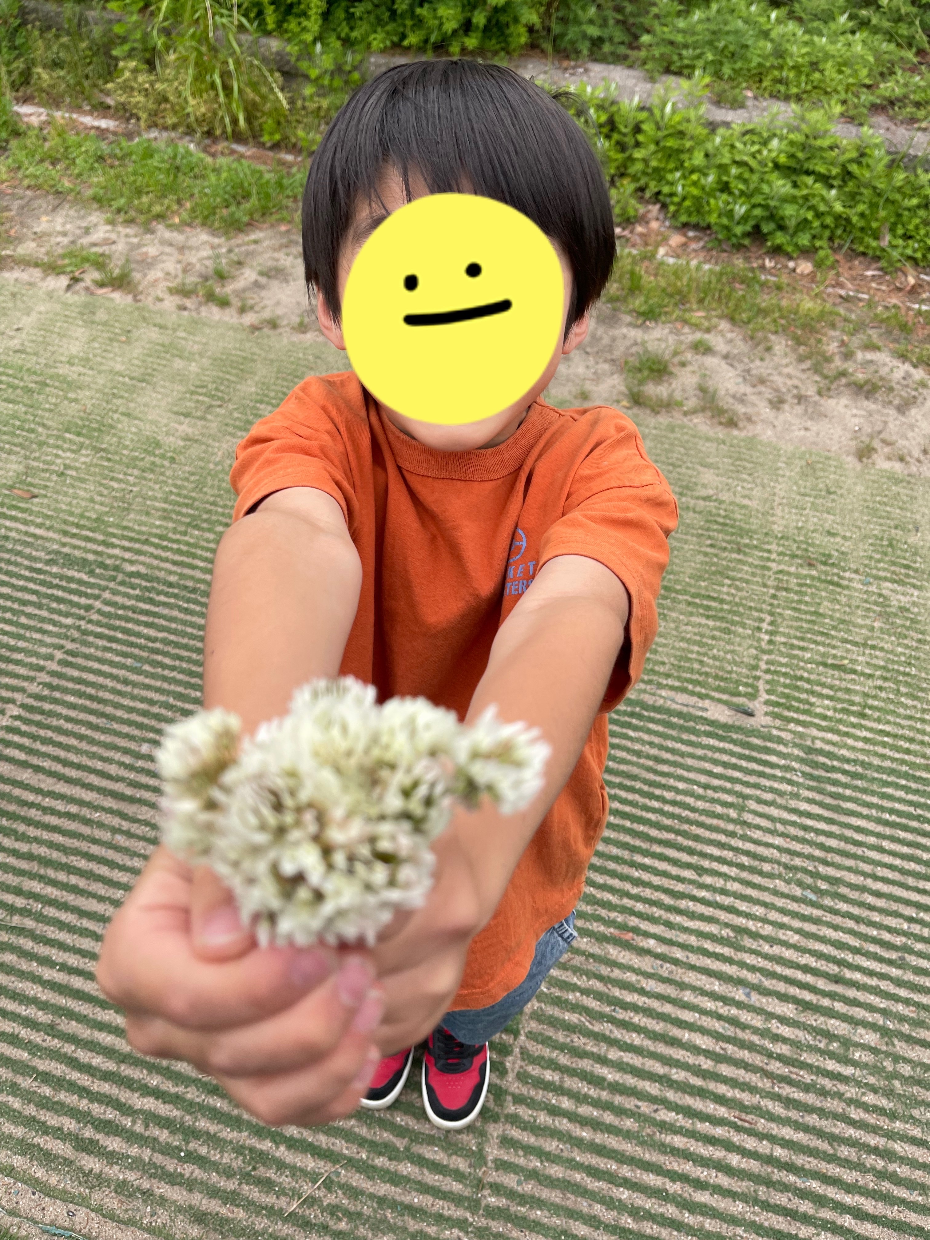 プランアイコン