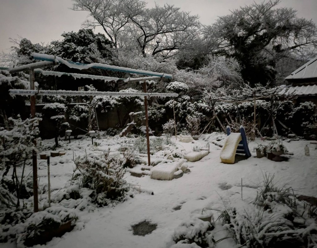 プランアイコン