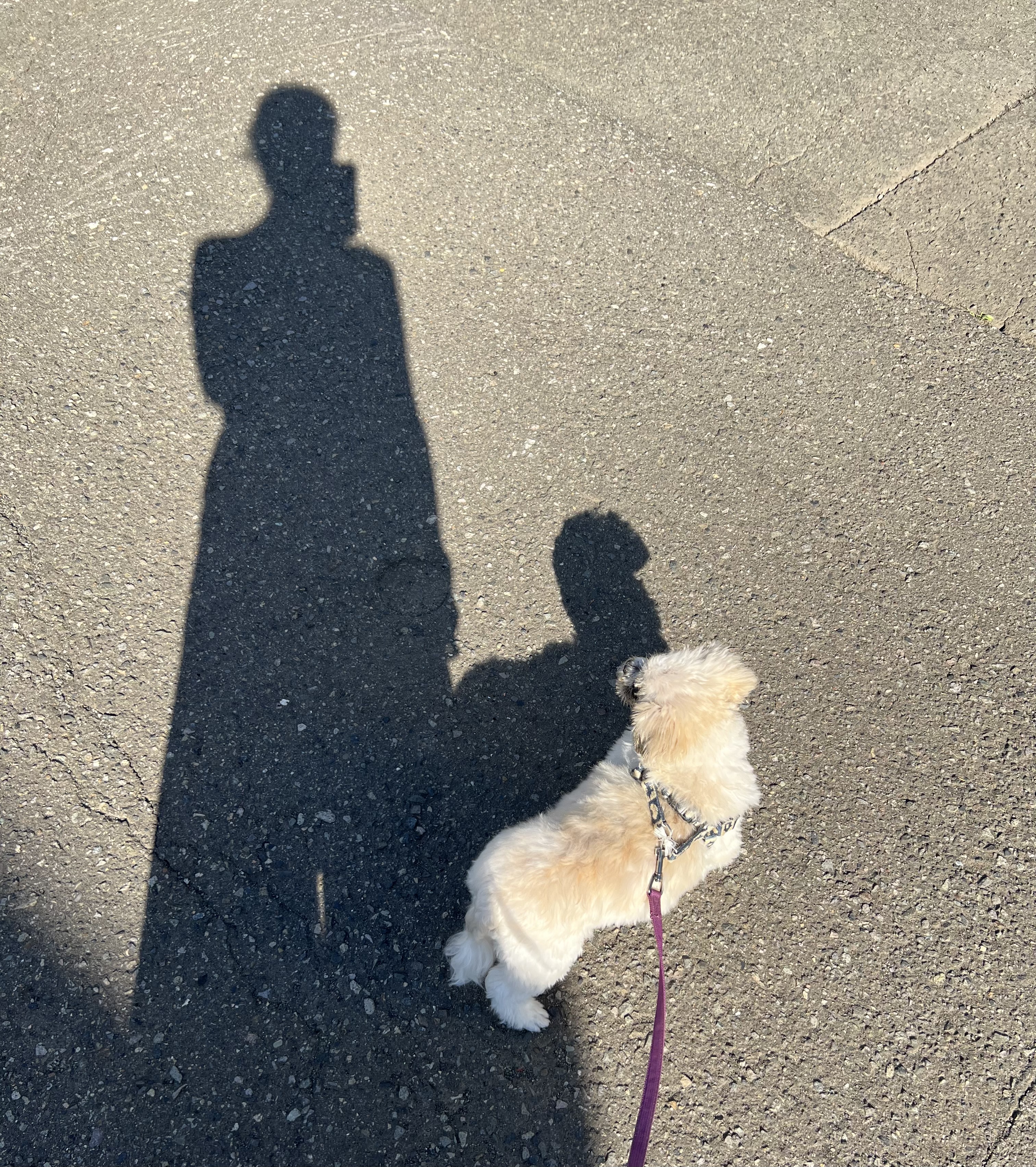 プランアイコン