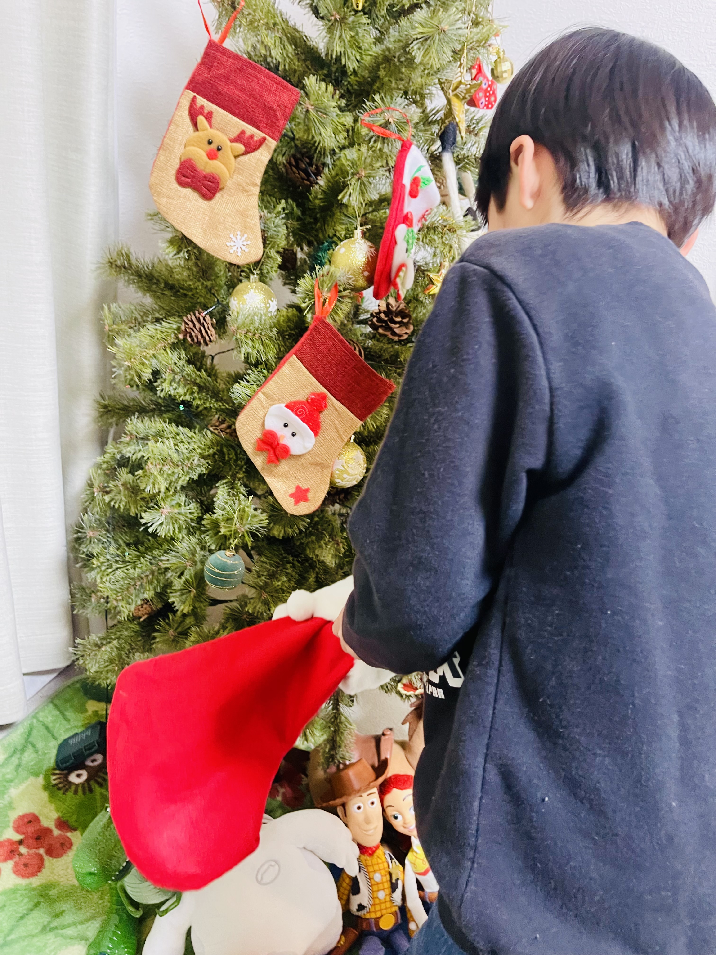 プランアイコン